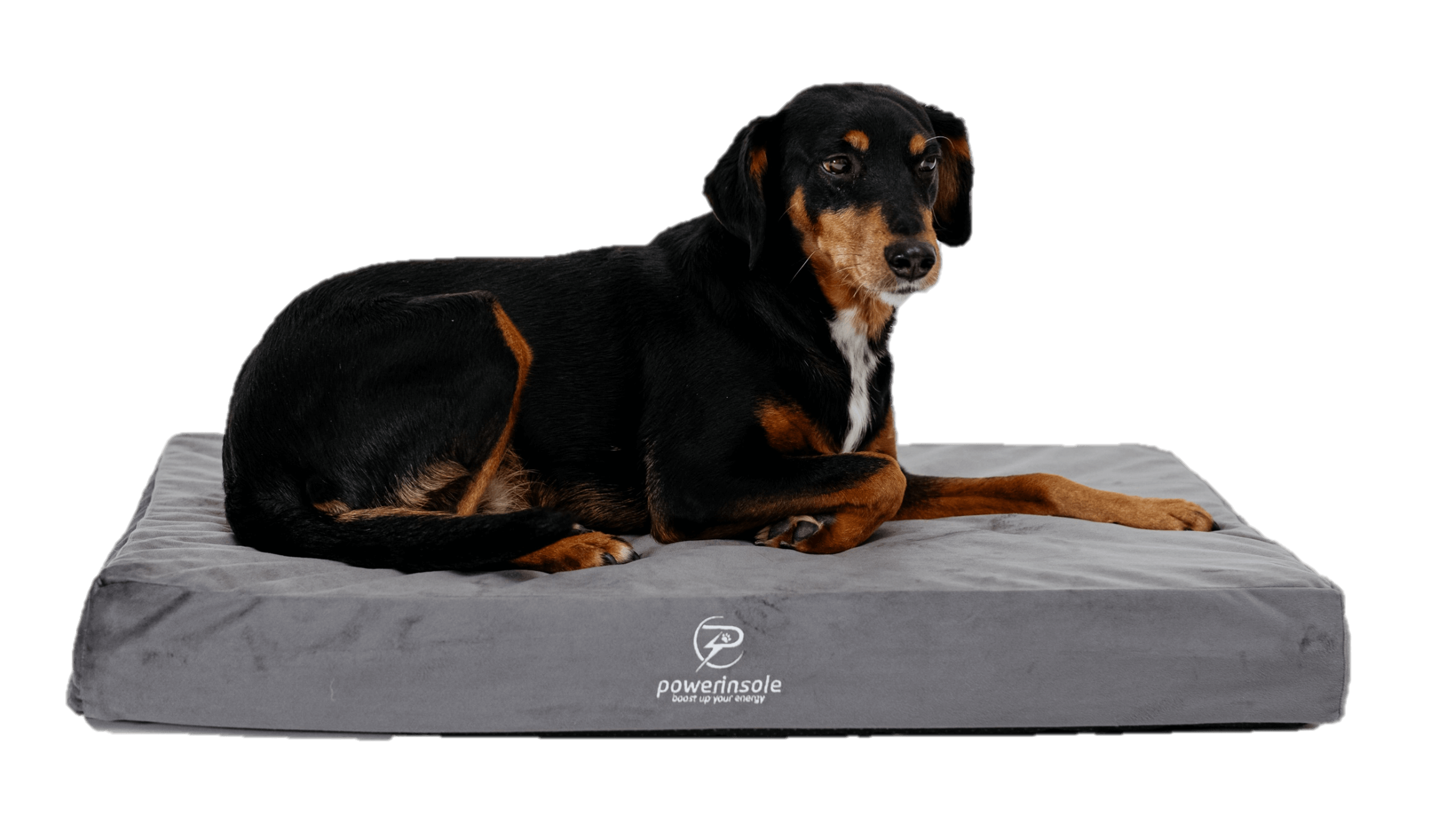 Hundekissen - vitafit orthopädisches Hundekissen mit Powerinsole-Technologie