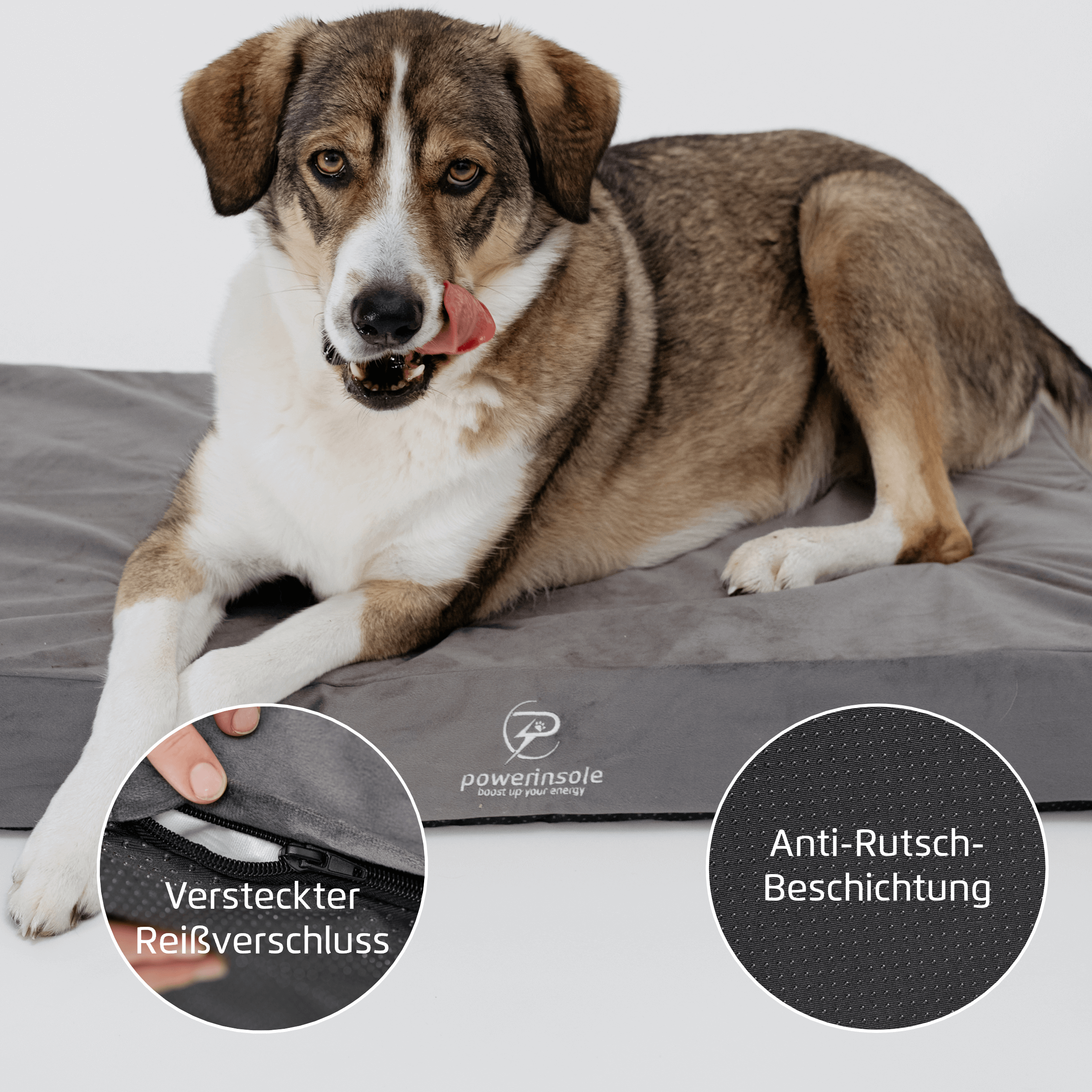 Hundekissen - vitafit orthopädisches Hundekissen mit Powerinsole-Technologie