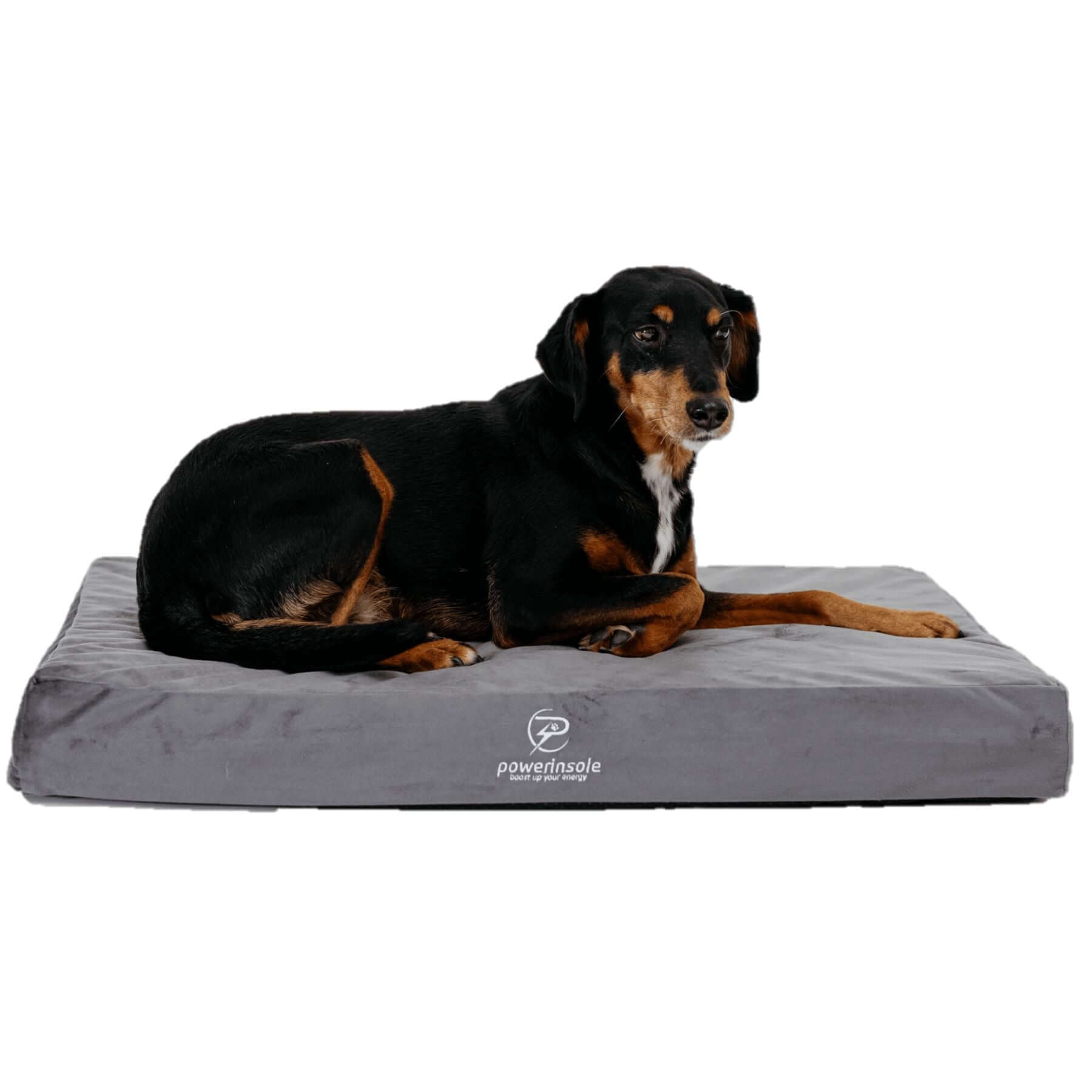 Hundekissen - vitafit orthopädisches Hundekissen mit Powerinsole-Technologie