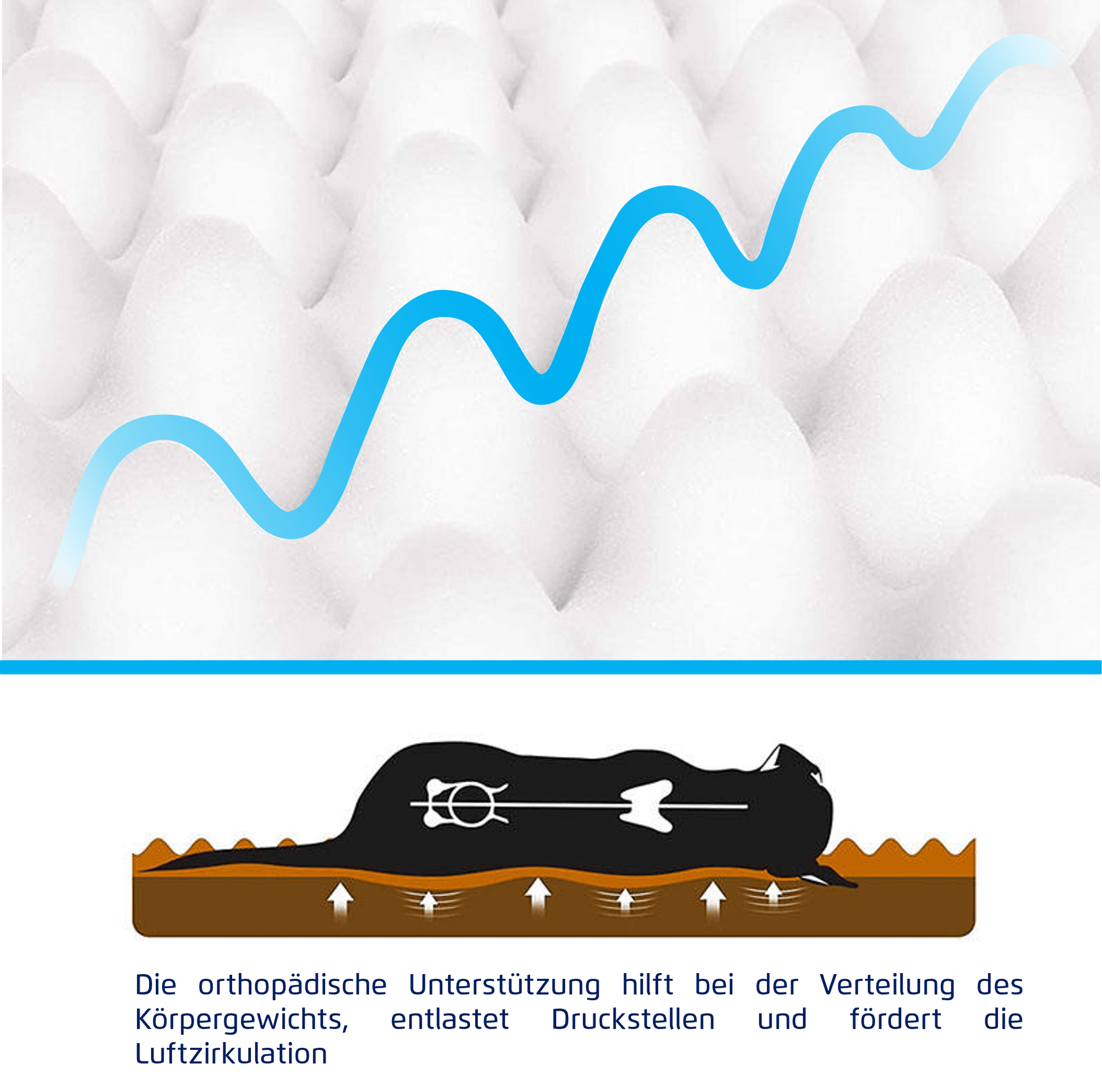 Hundekissen - vitafit orthopädisches Hundekissen mit Powerinsole-Technologie
